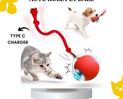 Interactive Self-Rolling Cheerble Ball