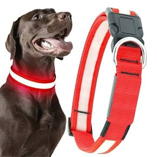 LED Dog Collar