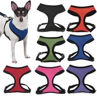 Dog Harness